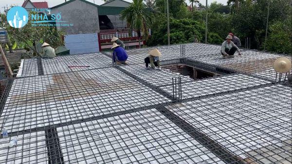 Màu sắc và kiểu dáng đa dạng, phong phú