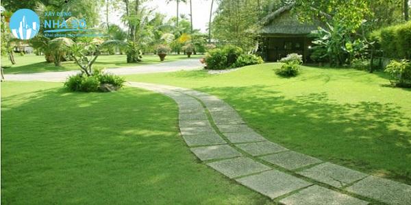 Lợi ích khi trồng cỏ sân vườn