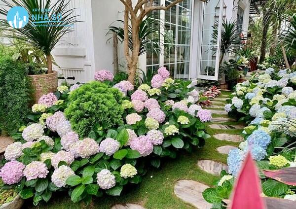 Lợi ích khi trồng hoa sân vườn