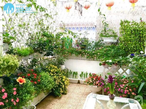 Hoa sân vườn đẹp với nhiều thiết kế với các loài hoa đẹp khác nhau