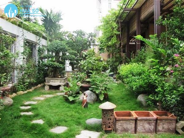 Thiết kế sân vườn mini nhà cấp 4