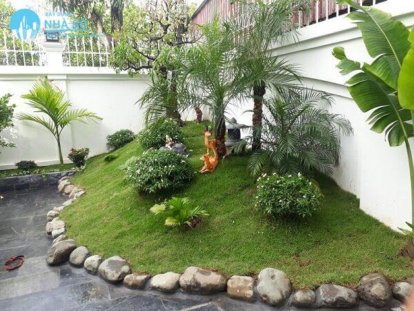 Thiết kế sân vườn mini nhà cấp 4 đẹp