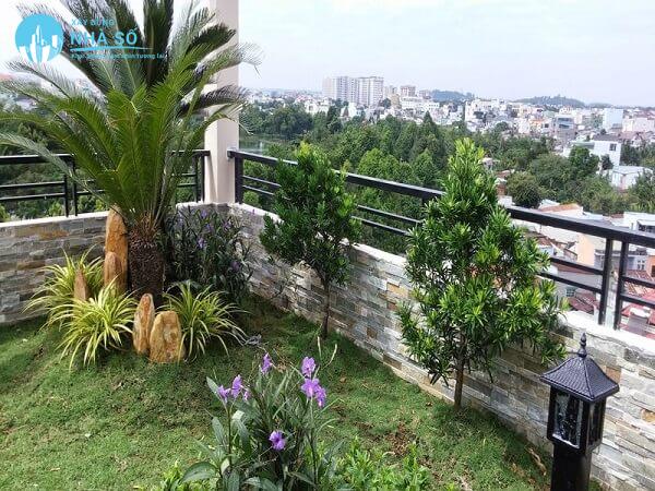 Thiết kế sân vườn sân thượng đẹp và hiện đại